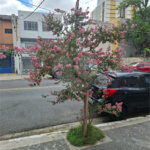 Apartamento à venda com 2 quartos em Vila Monumento, São Paulo, SP