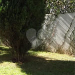 Apartamento à venda ou para alugar com 1 quarto em JARDIM SUL, São Paulo, SP