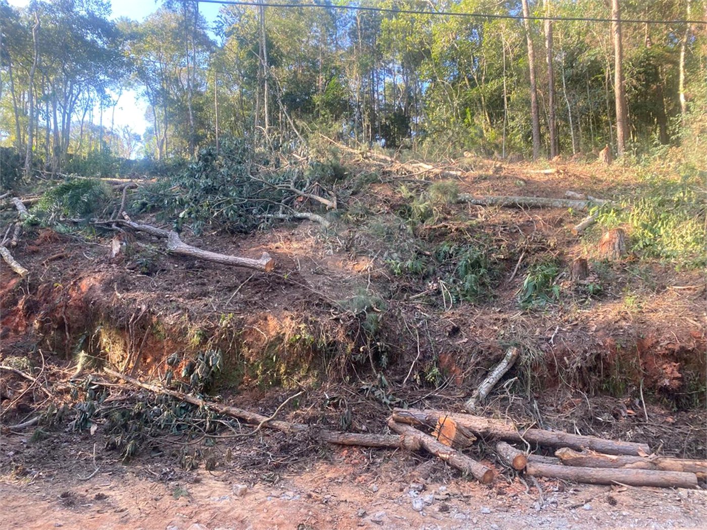 Terreno à venda no Centro (mailasqui), São Roque, SP