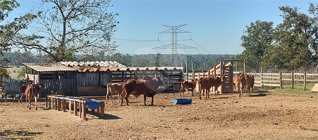 Sítio à venda com 2 suítes em Buru, Salto, SP