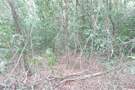 Terreno à venda em Chácaras Alpina, Valinhos, SP