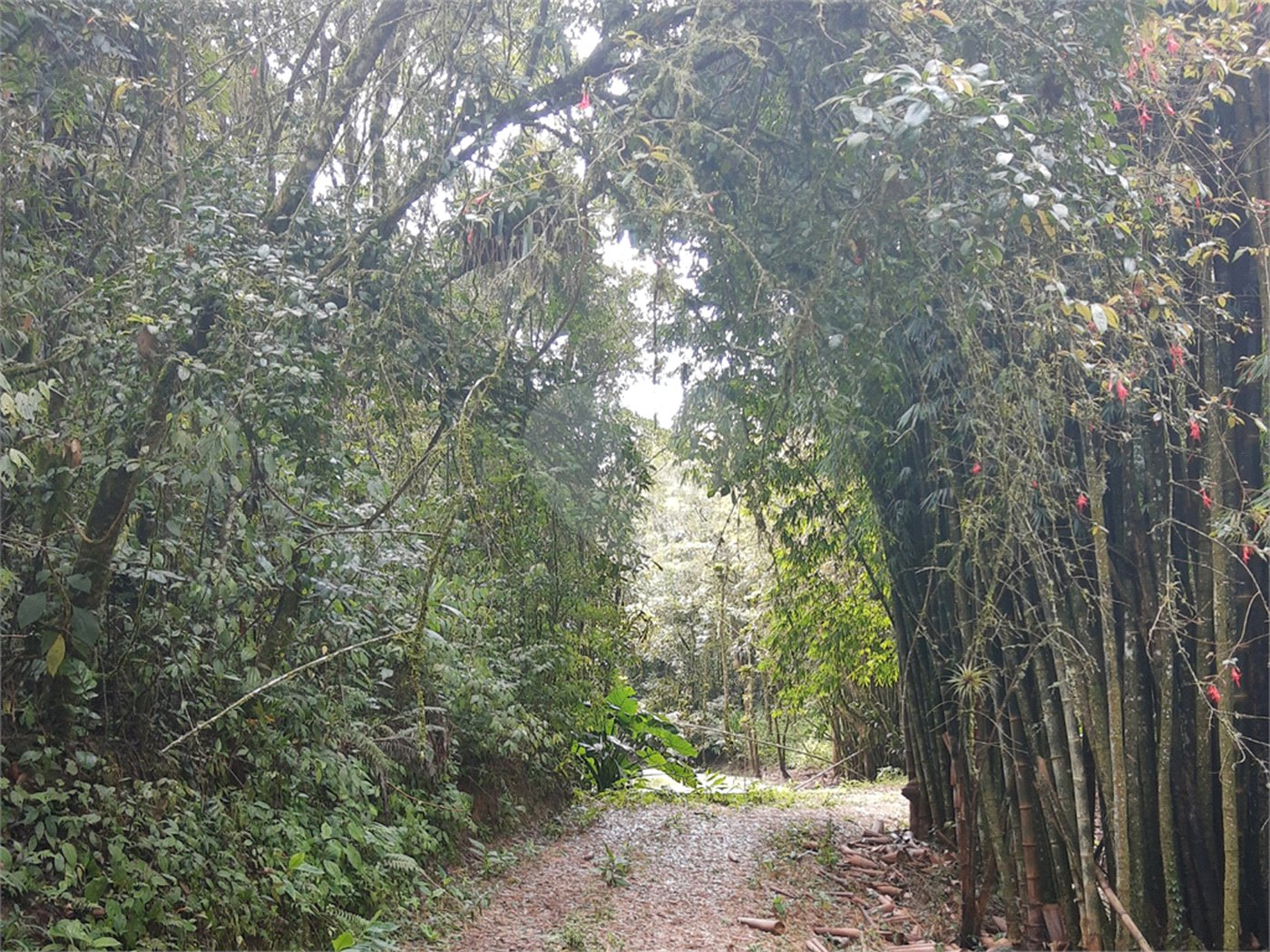 Sítio à venda com 5 quartos, sendo 1 suíte,  em Área Rural de Tapiraí, Tapiraí, SP
