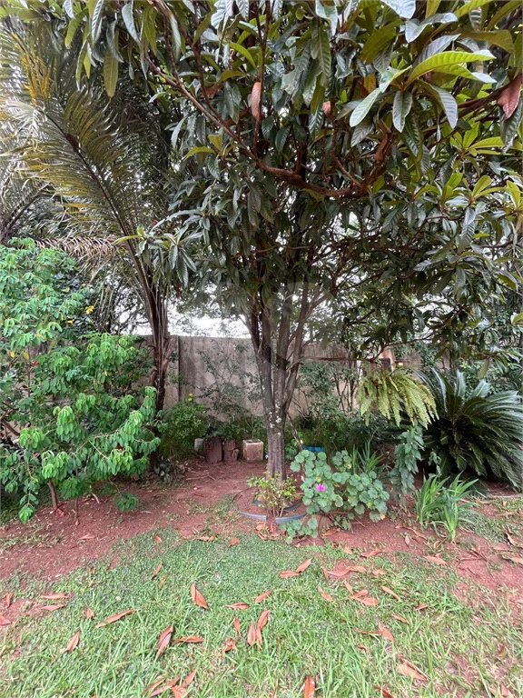 Chácara Espaçosa no Santa Rita com Área Gourmet, Sauna e Árvores Frutíferas