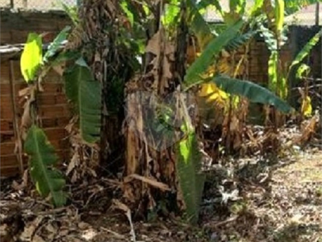 Terreno à venda em Tucuruvi, São Paulo, SP
