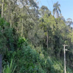 Terreno à venda em Serra da Cantareira, Mairiporã, SP