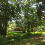 Casa à venda com 5 quartos, sendo 3 suítes, no condomínio Recanto das Flores, Indaiatuba - SP