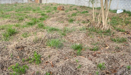 Terreno à venda em Chácaras Fernão Dias, Atibaia, SP