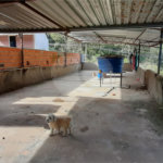 Sobrado à venda com 3 quartos, sendo 1 suíte, em Serra da Cantareira, Mairiporã, SP