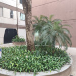 Apartamento à venda com 2 quartos em Jardim Íris, São Paulo, SP
