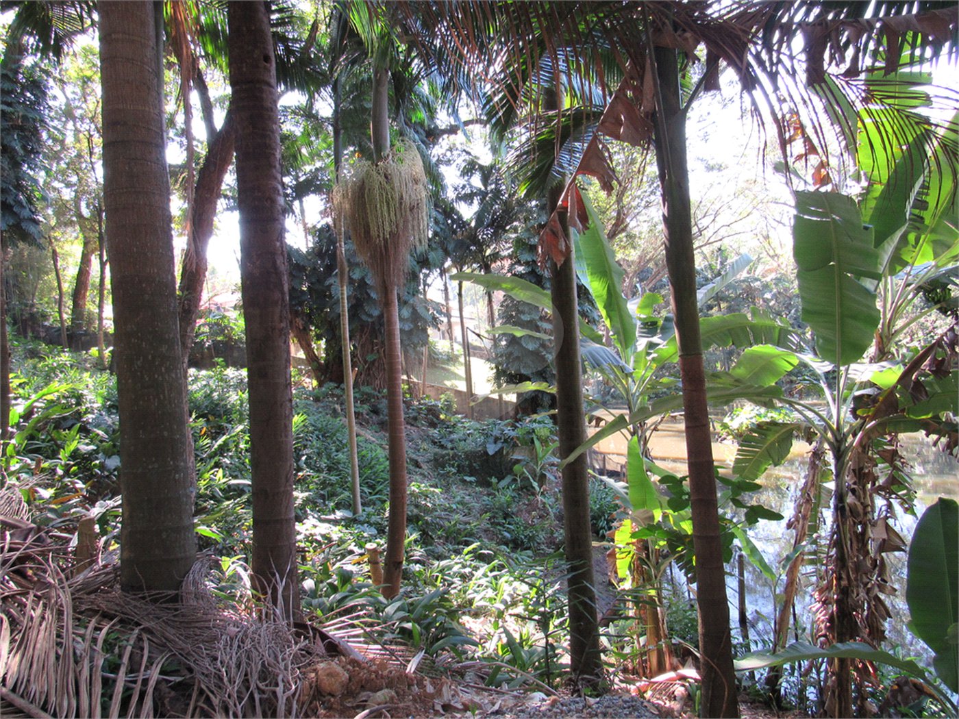 Terreno à venda no condomínio Chácara Flora, São Paulo - SP