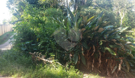Terreno à venda no condomínio Alpes da Cantareira, Mairiporã - SP