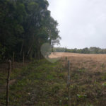 Sítio à venda com 5 quartos, sendo 1 suíte,  em Área Rural de Tapiraí, Tapiraí, SP