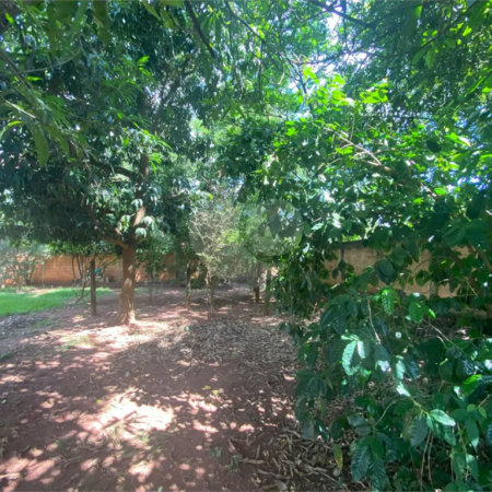 Chácara à venda com 1 quarto em Chácara Flora Araraquara, Araraquara, SP