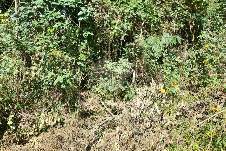 Terreno à venda em Roseira, Mairiporã, SP
