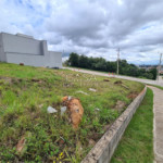 Terreno em condomínio à venda em Jardim Vila São Domingos, Sorocaba, SP