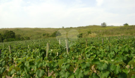 Área de Terra à venda em Colinas do Mosteiro de Itaici, Indaiatuba, SP