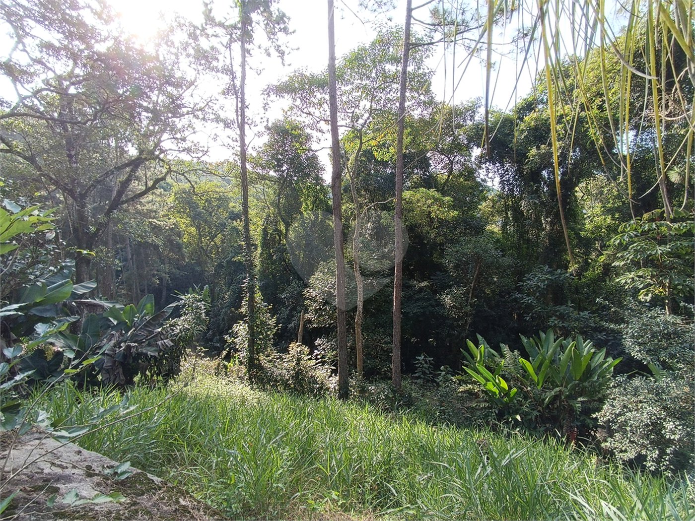 Chácara à venda com 2 quartos, sendo 1 suíte, em Caete (mailasqui), São Roque, SP