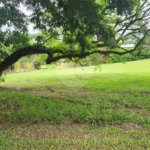 Terreno à venda no condomínio City Castelo, Itu - SP