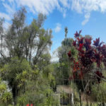 Terreno à venda em Serra da Cantareira, Mairiporã, SP