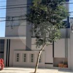 Apartamento à venda com 2 quartos em Casa Verde, São Paulo, SP