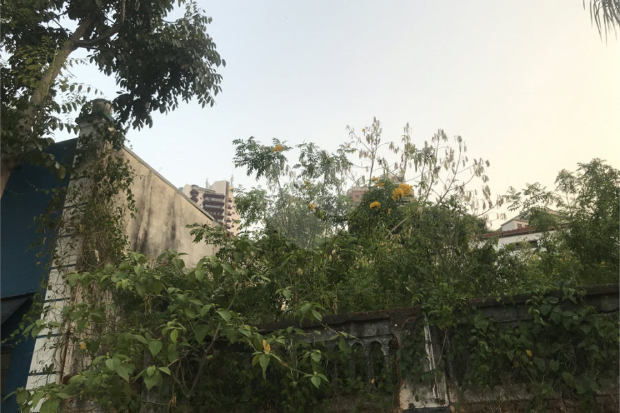 Terreno à venda em Água Fria, São Paulo, SP