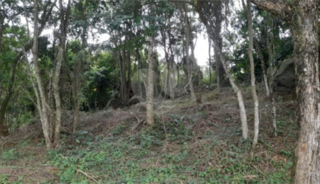 Loteamento à venda em Serra da Cantareira, São Paulo, SP