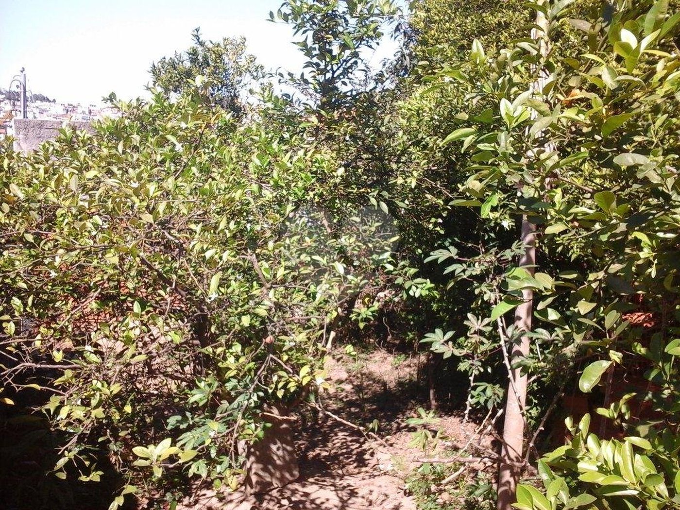 Terreno à venda em Tremembé, São Paulo, SP
