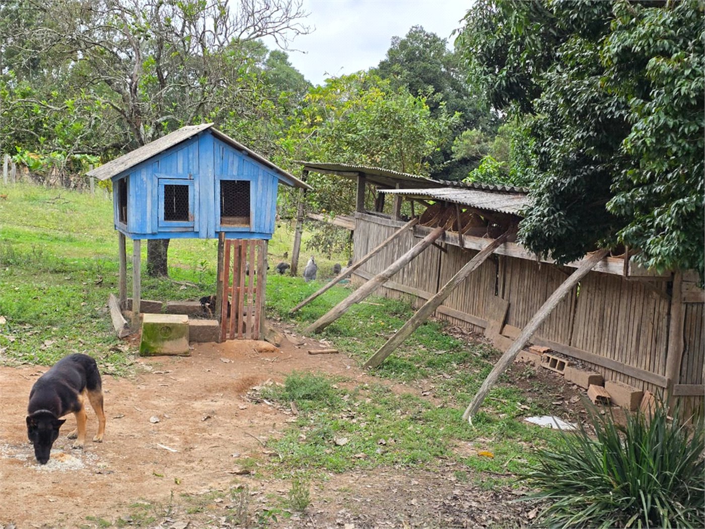 Sítio à venda com 6 quartos, sendo 5 suítes, em Área Rural de Itapetininga, Itapetininga, SP
