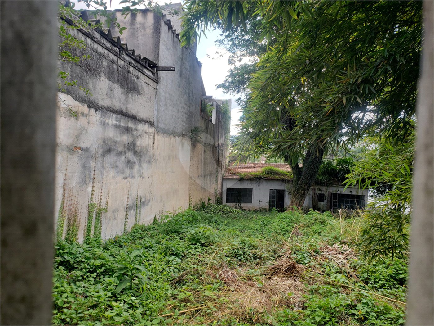 Terreno à venda em Tremembé, São Paulo, SP