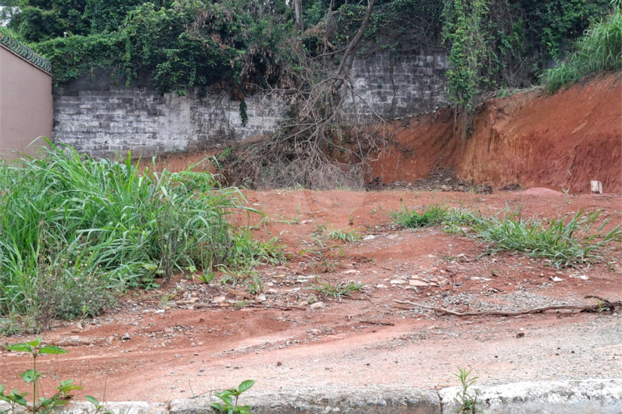 Terreno à venda em Vila Albertina, São Paulo, SP