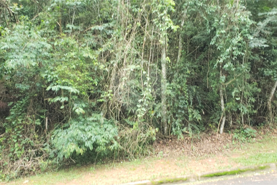 Condomínio à venda em Serra da Cantareira, Mairiporã, SP