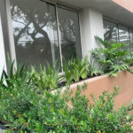 Apartamento à venda com 2 suítes em Vila Madalena, São Paulo, SP
