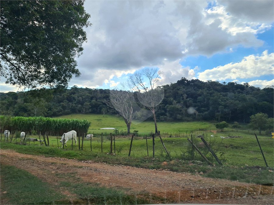 VENDA SÍTIO 48 hectares com estruura para granja, hidroponia e gado