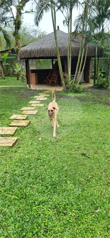 Casa Térrea à venda com 4 quartos, sendo 3 suítes, em Sertão do Piavu, São Sebastião, SP