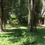 Terreno à venda em Lar São Paulo, São Paulo, SP