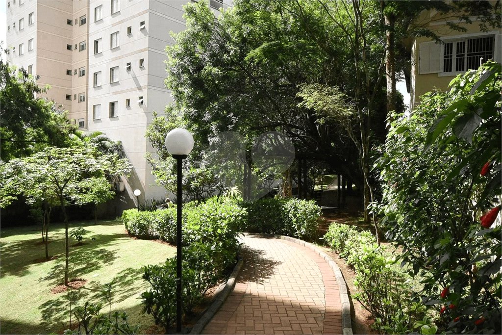 Apartamento à venda com 3 suítes em Lar São Paulo, São Paulo, SP