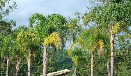 Chácara à venda com 2 quartos em Recanto das Acácias, São Roque, SP