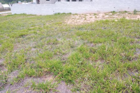 Terreno à venda com 1 suíte no condomínio Arboretum, Vinhedo - SP
