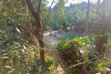 Terreno à venda em Santa Claudina, Vinhedo, SP