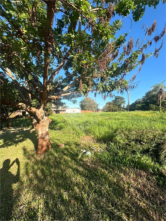 Terreno à venda em Pedro Juan Caballero, Amambay