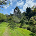Terreno à venda no condomínio Real Park - Vila Oliveira, Mogi das Cruzes - SP