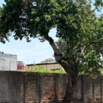 Terreno à venda em Jardim do Carmo, Araraquara, SP