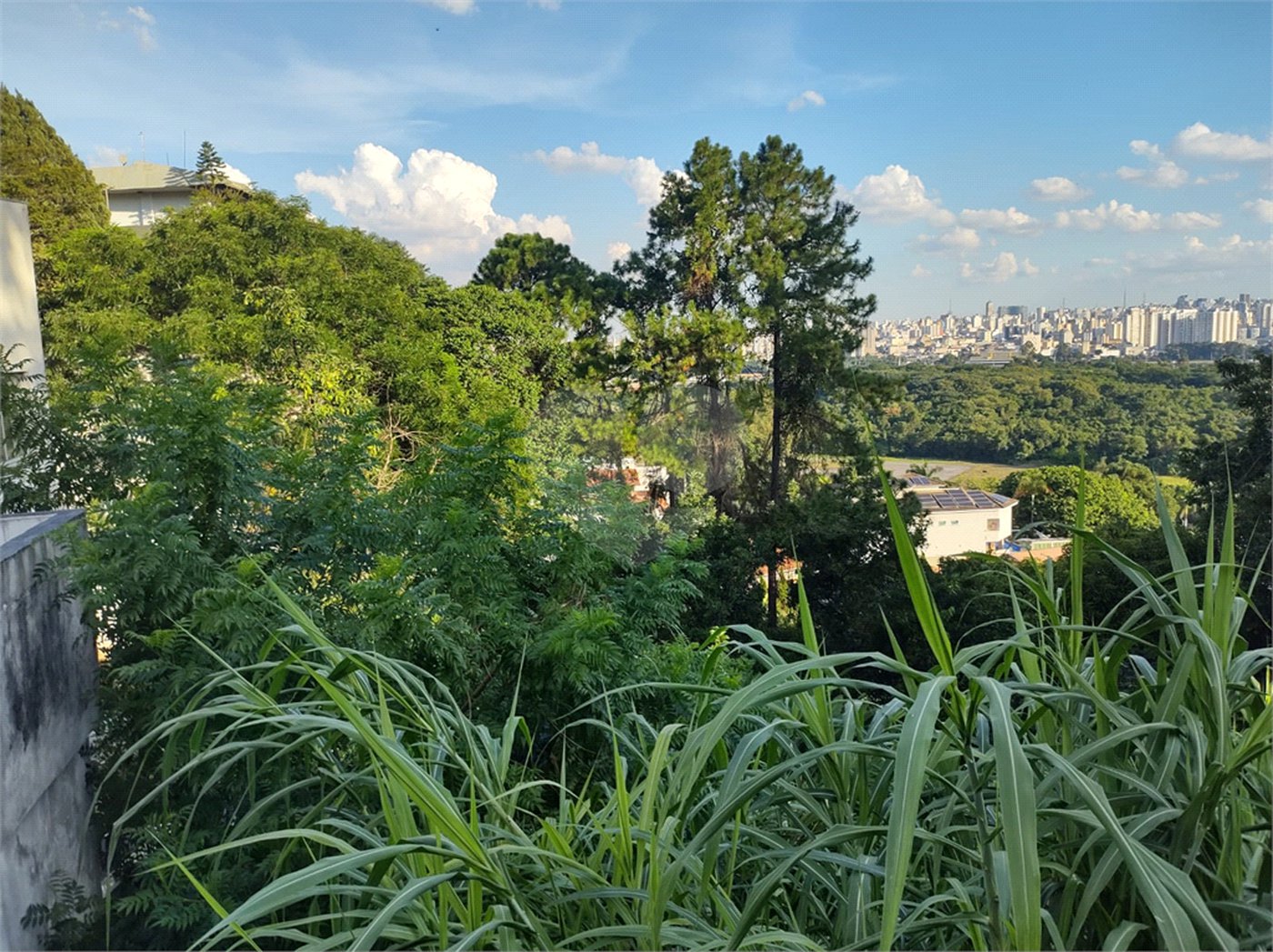 Terreno à venda em Jardim São Bento, São Paulo, SP