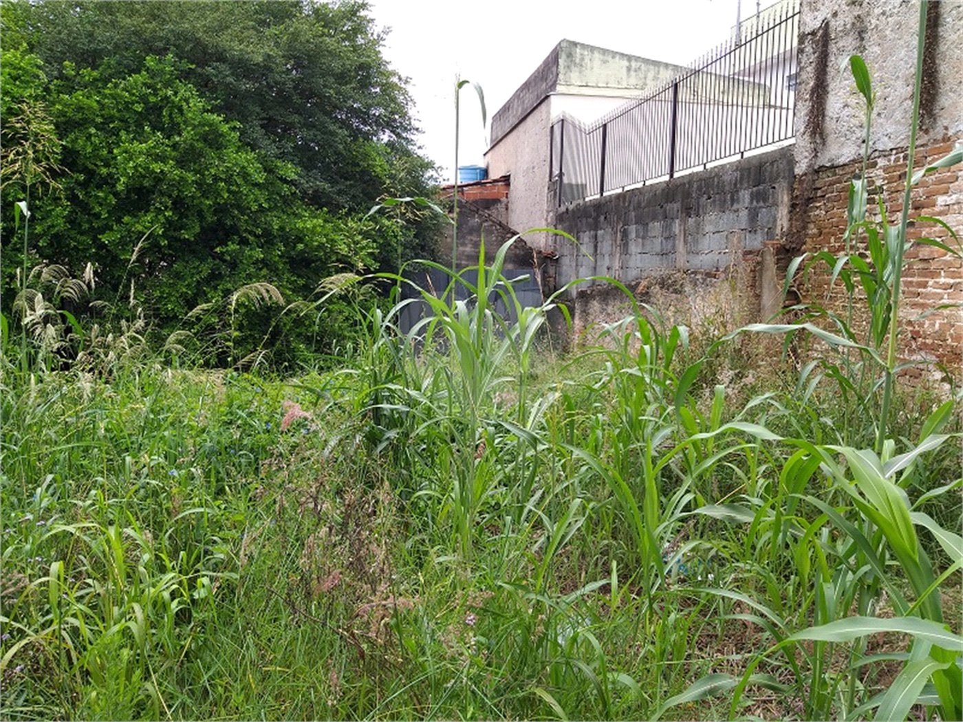 Terreno à venda em Tremembé, São Paulo, SP