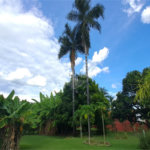 Casa à venda com 3 quartos, sendo 1 suíte, no condomínio Residencial Vale das Laranjeiras, Indaiatuba - SP