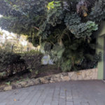 Sobrado à venda ou para alugar com 5 quartos, sendo 3 suítes, em Jardim Marajoara, São Paulo, SP