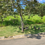 Terreno em condomínio à venda em Jardim Novo Mundo, Sorocaba, SP
