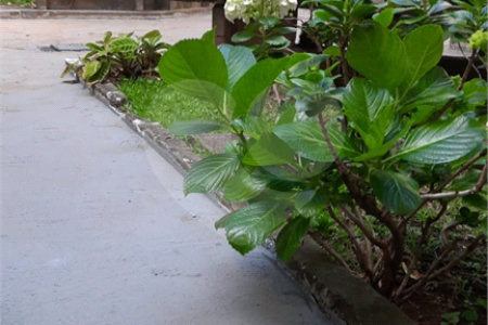 Apartamento á venda - Saúde