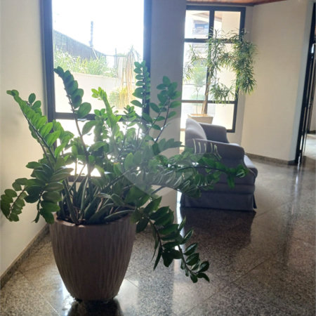 Apartamento à venda com 3 quartos, sendo 1 suíte,  em Vila Redentora, São José do Rio Preto, SP