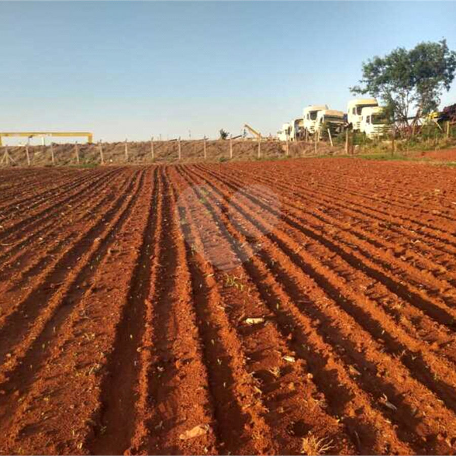 Sitio São Dimas, 50 metros da rodovia, por R$120,00 o metro quadrado.